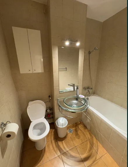 Dristor, Camil Ressu,