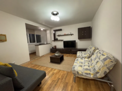 Dristor, Camil Ressu